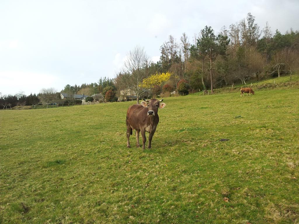 Casa Rural Grana Da Acea Monfero Eksteriør bilde