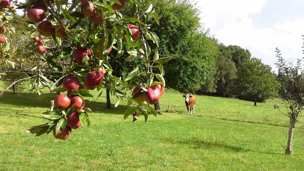 Casa Rural Grana Da Acea Monfero Eksteriør bilde