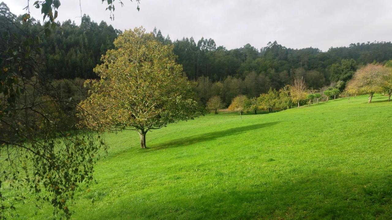 Casa Rural Grana Da Acea Monfero Eksteriør bilde